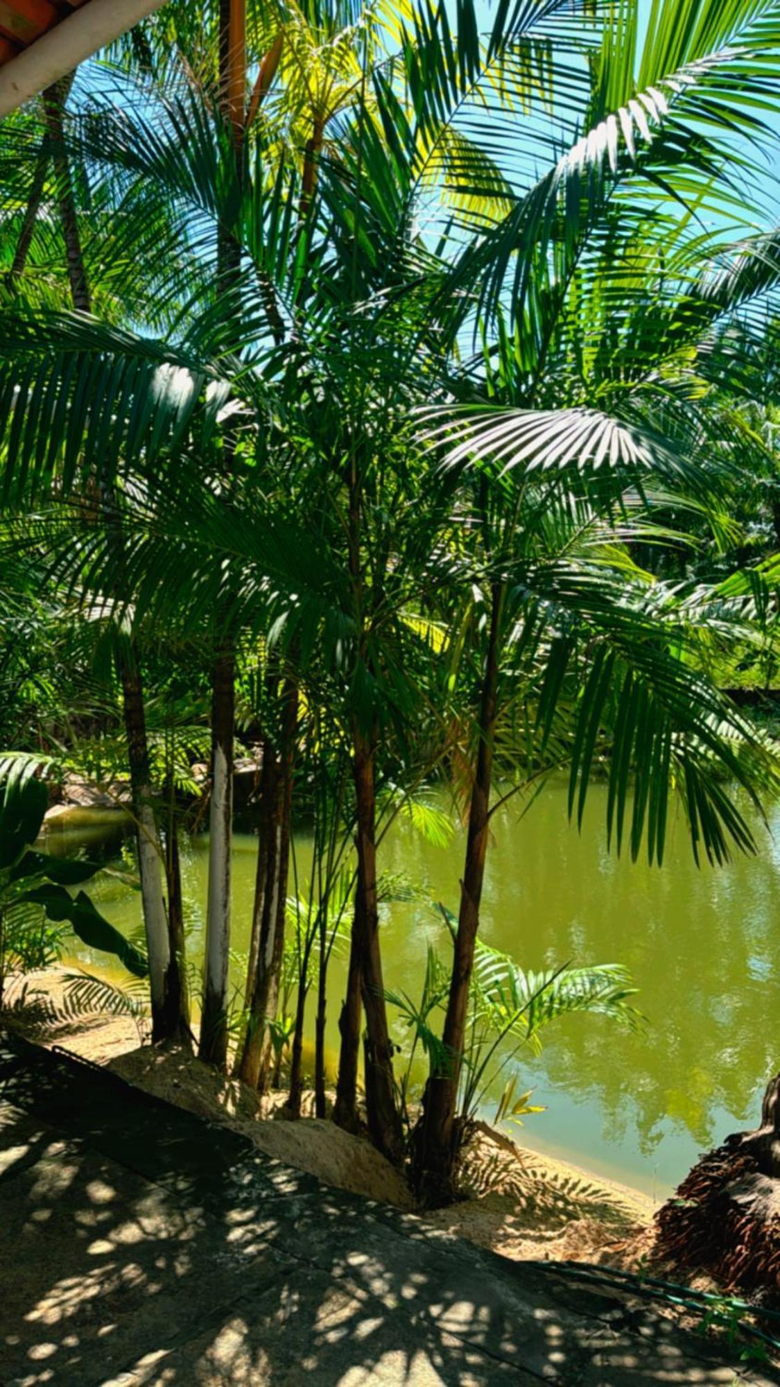 Hotel Pousada Beira Rio Barrerinhas à Balaclava Extérieur photo