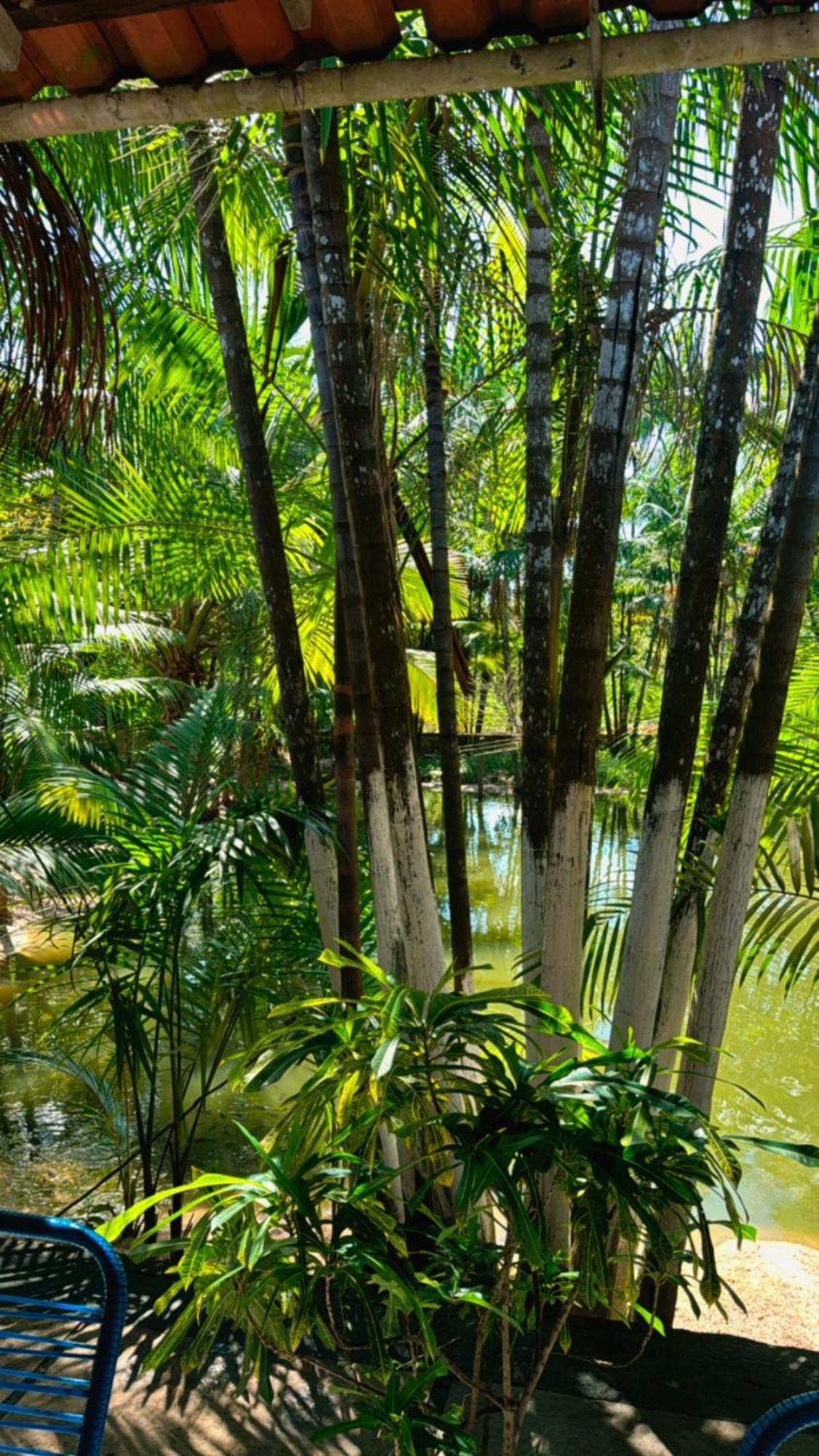 Hotel Pousada Beira Rio Barrerinhas à Balaclava Extérieur photo