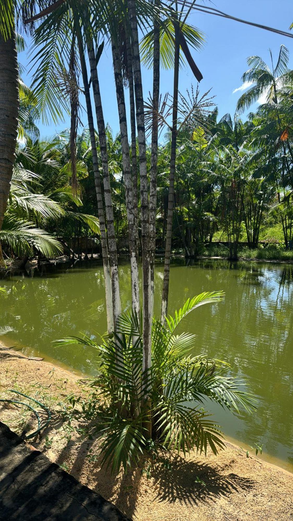 Hotel Pousada Beira Rio Barrerinhas à Balaclava Extérieur photo